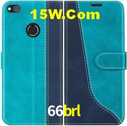 Sistemas de Segurança 66brl
